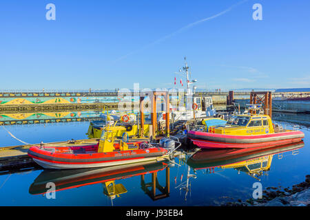 Royal Canadian Marine, bateaux de recherche et sauvetage, Ogden Point, Victoria, île de Vancouver, Colombie-Britannique, Canada. Banque D'Images