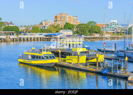 L'observation des baleines, les bateaux du port intérieur de Victoria, île de Vancouver, Colombie-Britannique, Canada. Banque D'Images