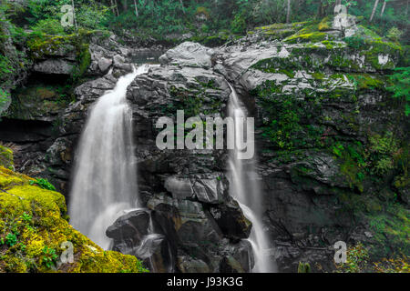 La rivière Nooksack Falls près de Mount Baker, Washington. Banque D'Images