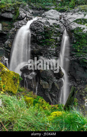 La rivière Nooksack Falls près de Mount Baker, Washington. Banque D'Images