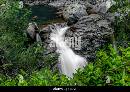 La rivière Nooksack Falls près de Mount Baker, Washington. Banque D'Images