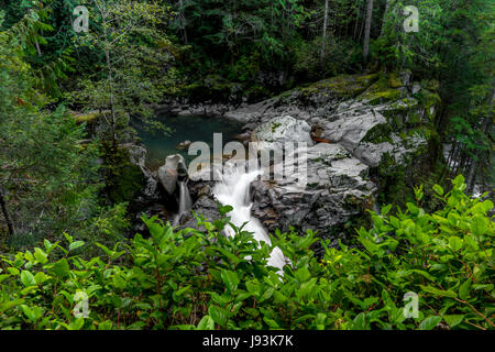 La rivière Nooksack Falls près de Mount Baker, Washington. Banque D'Images