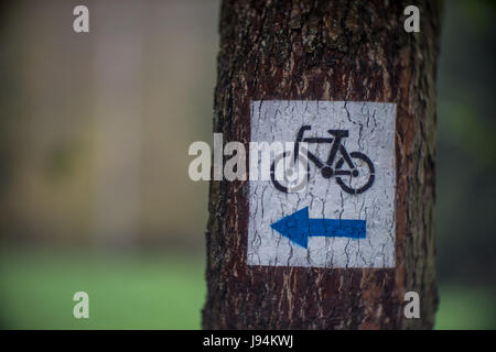 Piste cyclable signe sur l'arbre Banque D'Images