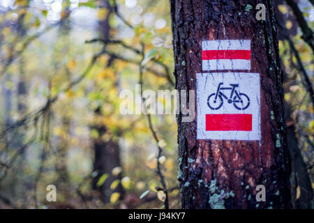 Piste cyclable signe sur l'arbre Banque D'Images