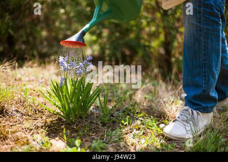 Man dans son jardin. Il est d'arroser les fleurs. Banque D'Images