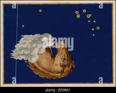 L'Uranometria de 1624 est un atlas céleste de Johann Bayer, avec des cartes détaillées des étoiles. Equuleus, l'une des constellations représentées, est une petite constellation faible représentant un petit cheval. Banque D'Images