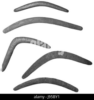 Les tribus du sud-est de l'Australie Fig 17 Boomerangs Banque D'Images