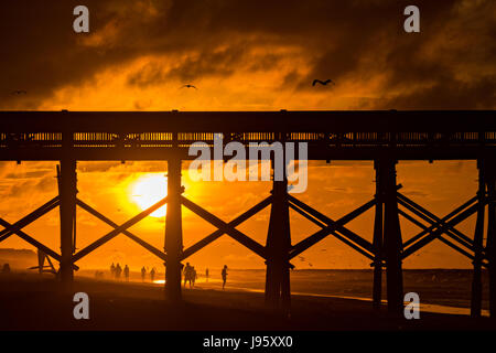 La Caroline du Sud, USA. Juin 2017, 5ème. L'aube sur la plage et jetée de folie sur un ciel nuageux matin 5 juin, 2017 à Folly Beach, Caroline du Sud. Folly Beach est une communauté en dehors de la plage Charleston appellent les gens comme le bord d'Amérique. Credit : Planetpix/Alamy Live News Banque D'Images
