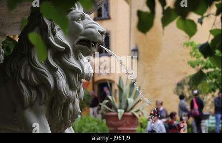 Füssen, Allemagne. 5 juin, 2017. Les touristes derrière la fontaine lion dans le jardin d'Schloss Hohenschwangau près de Füssen, Allemagne, 5 juin 2017. Le Loewenbrunnen (lit. La fontaine de lion) s'inspire d'une fontaine dans l'Alhambra en Espagne. Photo : Karl-Josef Opim/dpa/Alamy Live News Banque D'Images