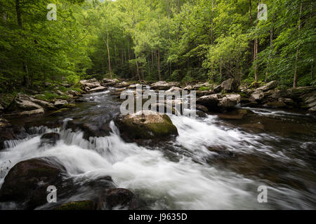 La broche du milieu de la petite rivière est formée par la confluence de Lynn et grade camp prong prong et un autre flux 6 miles jusqu'à ce qu'il se jette dans la petite rivière. l'ensemble du bassin versant du Moyen prong est vaguement connu sous le nom de tremont. la petite rivière est d'environ 60 milles de long et très pittoresque. Il commence dans le parc national Great Smoky et finalement se jette dans la rivière Tennessee à fort loudon lake. Banque D'Images