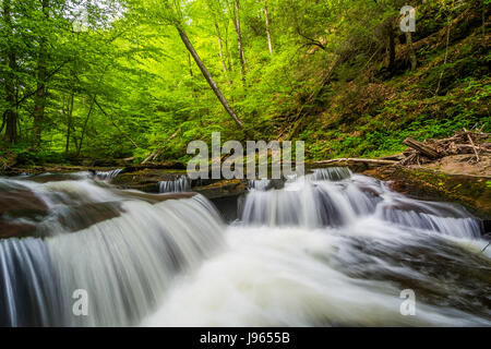 Cascades le ruisseau de cuisine à Ricketts Glen State Park, New York. Banque D'Images