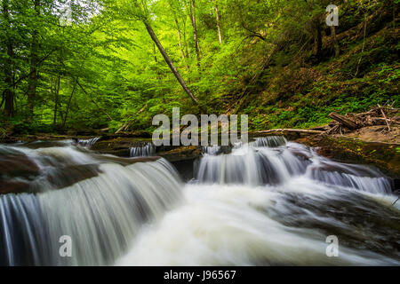 Cascades le ruisseau de cuisine à Ricketts Glen State Park, New York. Banque D'Images