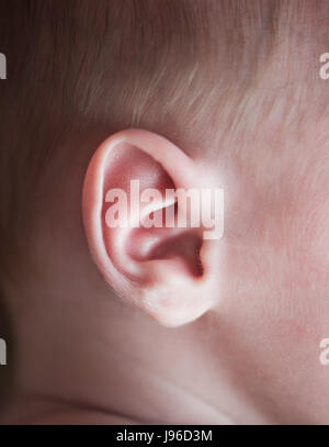 Fermer Plan D Un Lobe De L Humain Avec Des Piercings De Cartilage Photo Stock Alamy