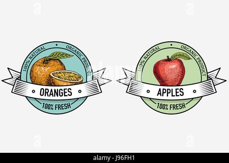 Vintage jeu d'étiquettes, emblème ou logo pour la nourriture végétarienne, fruits faites à la main ou gravé. Retro style américain ferme Illustration de Vecteur