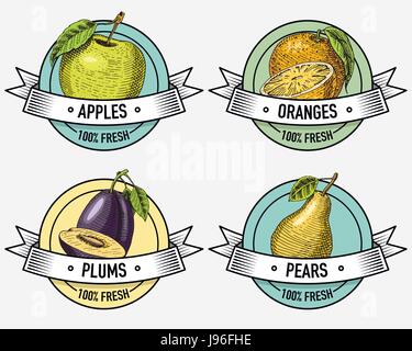 Vintage jeu d'étiquettes, emblème ou logo pour la nourriture végétarienne, fruits faites à la main ou gravé. Retro style américain ferme Illustration de Vecteur