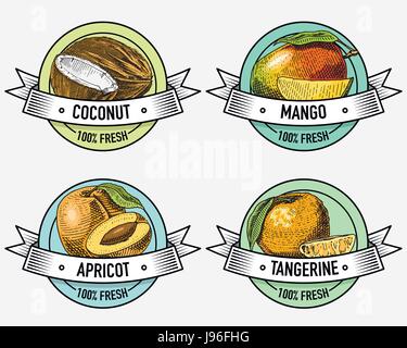 Vintage jeu d'étiquettes, emblème ou logo pour la nourriture végétarienne, fruits faites à la main ou gravé. Retro style américain ferme Illustration de Vecteur