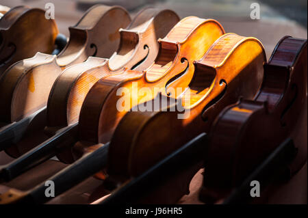 Violons faits main sur l'affichage dans la vitrine de Veysel Muzik Evi dans le quartier d'Aksaray Istanbul Banque D'Images