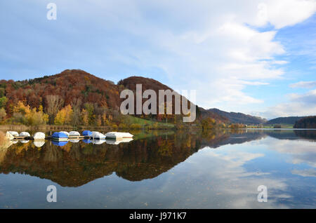 La Suisse, romantique, calme, reflets, eau, nature, arbre, bleu, vert, Banque D'Images