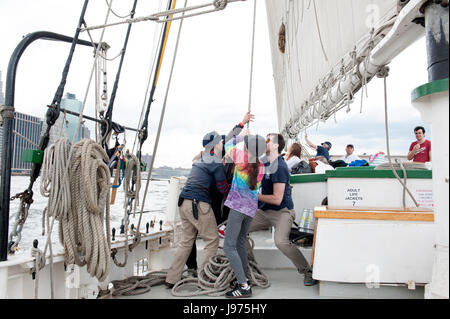 Les passagers sur le South Street Seaport Museum's 1885 Pioneer goélette sont invités à aider les voiles rais au début de chaque voyage dans le port de New York. Banque D'Images