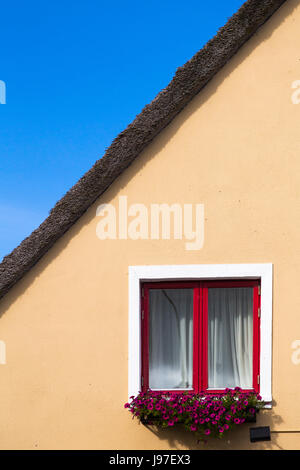 Close up détails sur un vieux cottage dans l'Irlande rurale Banque D'Images