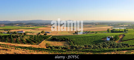 Les vastes plaines de l'Alentejo vu de la ville fortifiée d''Estremoz. Portugal Banque D'Images