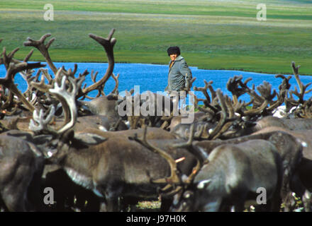 Chukchi nomades gardien de rennes sur les Tchouktche ou péninsule Chukotka, dans l'Extrême-Orient russe. Banque D'Images
