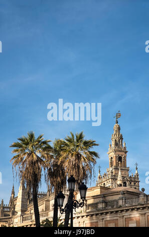 Espagne, Andalousie, Séville, de la Giralda avec des palmiers en premier plan Banque D'Images