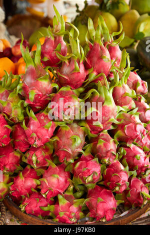 Fruit du dragon, pouvez Duoc Marché, Province de Long An, Delta du Mekong, Vietnam Banque D'Images