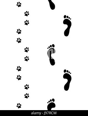 Imprime des Pieds et pattes de chien,motif transparent, vector Banque D'Images