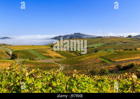 La France, Cher, Sancerre, la petite ville sur la colline et le vignoble de Sancerre (AOC) à l'automne, le brouillard du matin Banque D'Images