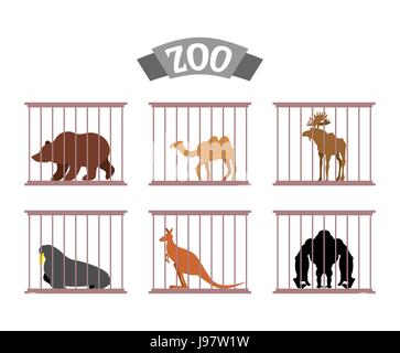 Zoo. Collection d'animaux sauvages dans des cages. Bêtes derrière les barreaux. L'orignal et ours en captivité. S'asseoir à chameau et kangourou Zoo. Le phoque, le morse et Gorilla und Illustration de Vecteur