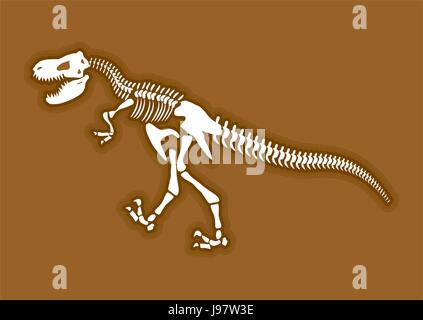 Squelette de dinosaure. Les os des animaux anciens dans la masse. Combustibles Tyrannosaurus. fouilles archéologiques. Monstre préhistorique Illustration de Vecteur