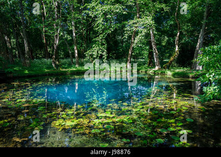 Les Fontaines bleues dans les jardins du château de Beaulon, Saint Dizant du Gua, Charente-Maritime, Poitou-Charentes, au sud-ouest de la France Banque D'Images