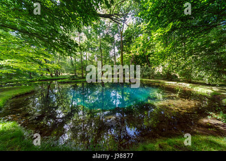 Les Fontaines bleues dans les jardins du château de Beaulon, Saint Dizant du Gua, Charente-Maritime, Poitou-Charentes, au sud-ouest de la France Banque D'Images