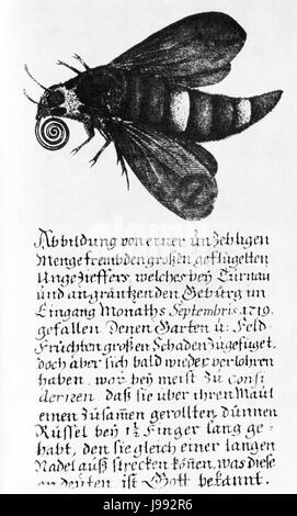 Turnau1719 v3 Banque D'Images