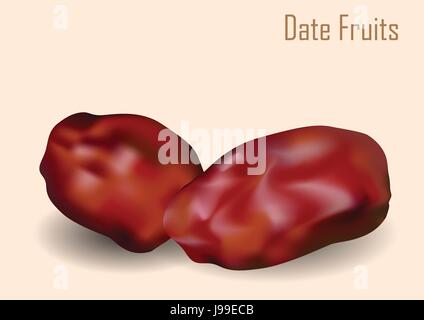 Dates. dattes séchées (ramadan iftar) aliments fruits sur fond marron clair - vector illustration. Illustration de Vecteur