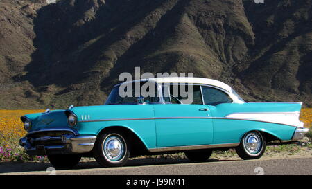 Blanc/turquoise 1957 Chevy Bel Air 2-Door Sedan voiture classique debout dans une mer de fleurs sauvages - Superbloom Anza-Borrego Desert State Park Banque D'Images