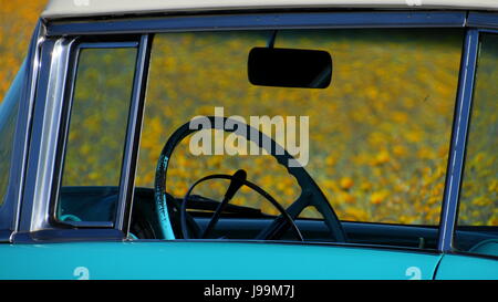 Blanc/turquoise 1957 Chevy Bel Air 2-Door Sedan voiture classique debout dans une mer de fleurs sauvages - Superbloom Anza-Borrego Desert State Park Banque D'Images