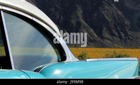 Blanc/turquoise 1957 Chevy Bel Air 2-Door Sedan voiture classique debout dans une mer de fleurs sauvages - Superbloom Anza-Borrego Desert State Park Banque D'Images