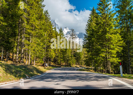 Pale di San Martino, dans les montagnes de l'Italie, les Alpes sont l'arrière-plan de cette scène prises à partir de la route forestière menant au col de montagne, Rolle. Banque D'Images