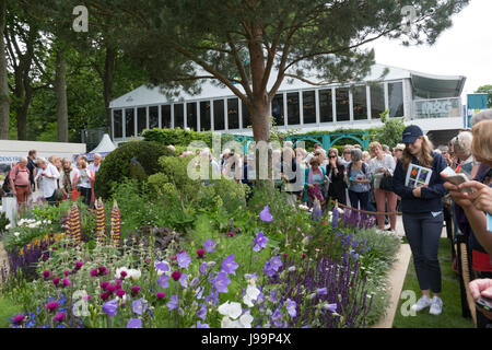 Visites affichage des fleurs colorées dans le jardin de Morgan Stanley le RHS Chelsea Flower Show 2017, Londres, Royaume-Uni Banque D'Images