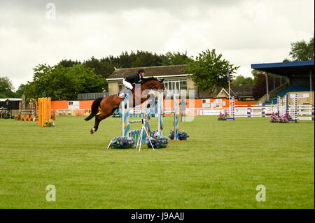 Shepton Mallet, Royaume-Uni. 31 mai, 2017. Baignoire et West Show 2017. Credit : James Thomas/Alamy Live News Banque D'Images