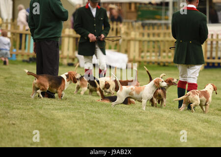 Shepton Mallet, Royaume-Uni. 31 mai, 2017. Baignoire et West Show 2017. Credit : James Thomas/Alamy Live News Banque D'Images