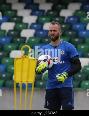 Belfast, Royaume-Uni. 1er juin 2017. Stade national de football à Windsor Park, Belfast. L'Irlande du gardien Alan Mannus dans la formation. Crédit : David Hunter/Alamy Live News Banque D'Images