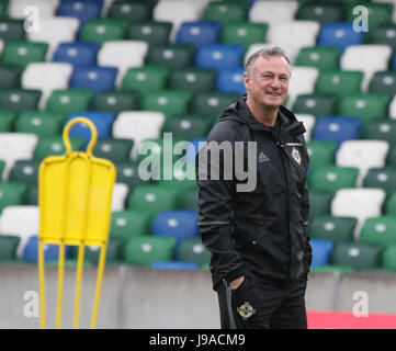 Belfast, Royaume-Uni. 1er juin 2017. Stade national de football à Windsor Park, Belfast. L'Irlande du manager Michael O'Neill à trainiing avant le match de demain soir contre la Nouvelle-Zélande. Crédit : David Hunter/Alamy Live News Banque D'Images