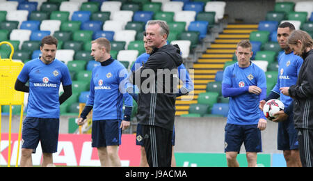 Belfast, Royaume-Uni. 1er juin 2017. Stade national de football à Windsor Park. L'Irlande du manager Michael O'Neill à trainiing avant le match de demain soir contre la Nouvelle-Zélande. Crédit : David Hunter/Alamy Live News Banque D'Images