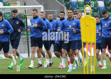 Belfast, Royaume-Uni. 1er juin 2017. Stade national de football à Windsor Park. L'Irlande du train avant le match de demain soir contre la Nouvelle-Zélande. Crédit : David Hunter/Alamy Live News Banque D'Images