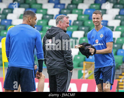 Belfast, Royaume-Uni. 1er juin 2017. Stade national de football à Windsor Park. L'Irlande du manager Michael O'Neill à trainiing d'aujourd'hui avant le friendly demain soir contre la Nouvelle-Zélande. Crédit : David Hunter/Alamy Live News Banque D'Images