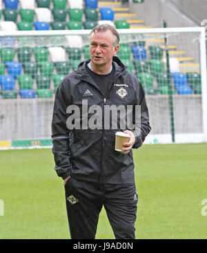 Belfast, Royaume-Uni. 1er juin 2017. Stade national de football à Windsor Park, Belfast, Irlande du Nord..manager Michael O'Neill détendu avant le match de demain soir contre la Nouvelle-Zélande. Crédit : David Hunter/Alamy Live News Banque D'Images