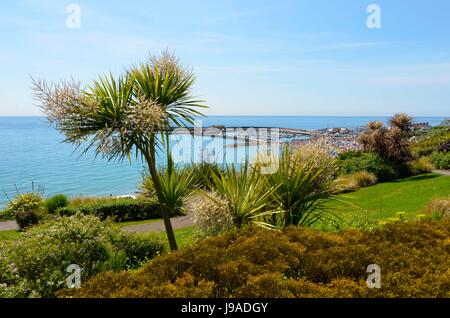 Lyme Regis, dans le Dorset, UK. 1er juin 2017. Météo britannique. Vue depuis les jardins à la Langmoor vers le port de Cobb à la station balnéaire de Lyme Regis dans le Dorset un jour ensoleillé chaud pendant la moitié des vacances à long terme. Crédit photo : Graham Hunt/Alamy Live News Banque D'Images